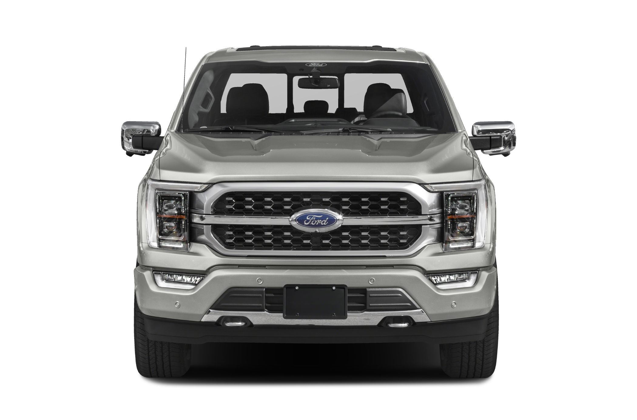 2022 Ford F150 Platinum 4x4 SuperCrew Cab 5.5 ft. box 145 in. WB Pictures