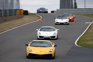 Lamborghini Gallardos on track