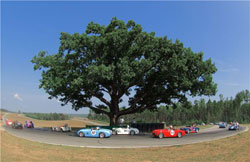 VIR Oak Tree with racecars