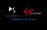 DS Virgin Racing logo