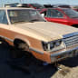 00 - 1984 Ford LTD in California junkyard - photo by Murilee Martin
