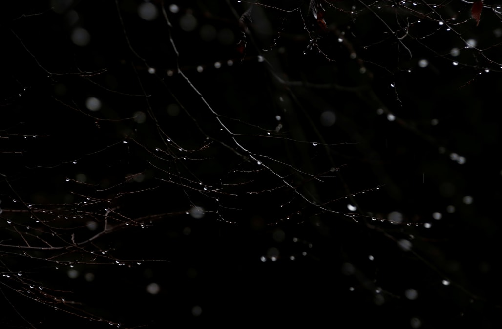 Raindrops spew bacteria into the air as they burst