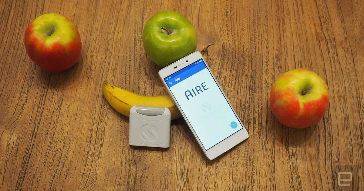 This tiny digestive tracker can tell what food gives you gas - Engadget