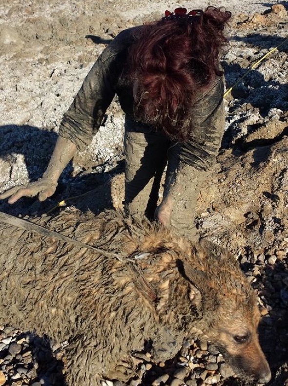 Two Women Stuck Waist Deep In Mud On Kent Beach After Trying