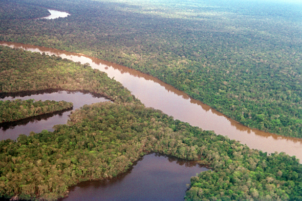 Source of Amazon River finally found, say scientists - AOL