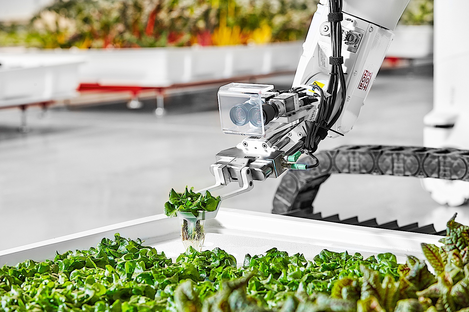 The future of indoor agriculture is vertical farms run by ...