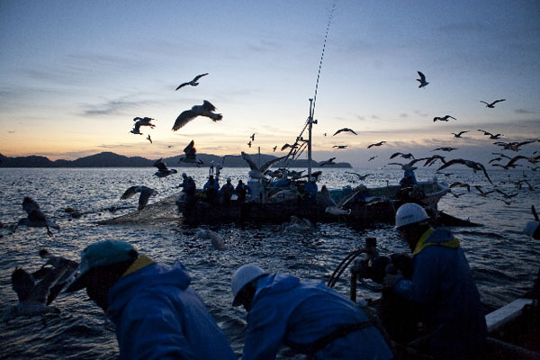 現役のマグロ漁師の最高年収っていくらなの 番組で明かされた漁師の懐事情が話題に Aol ニュース