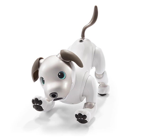 aibo robot dog for sale