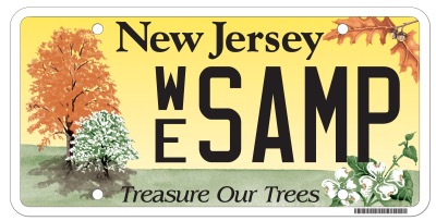State of new jersey environmental license plate