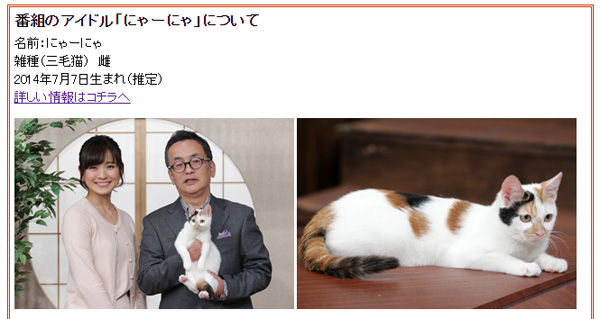 日本には討論中に猫が動きまわる番組がある テレ東 週刊ニュース新書 が海外で話題に Aol ニュース