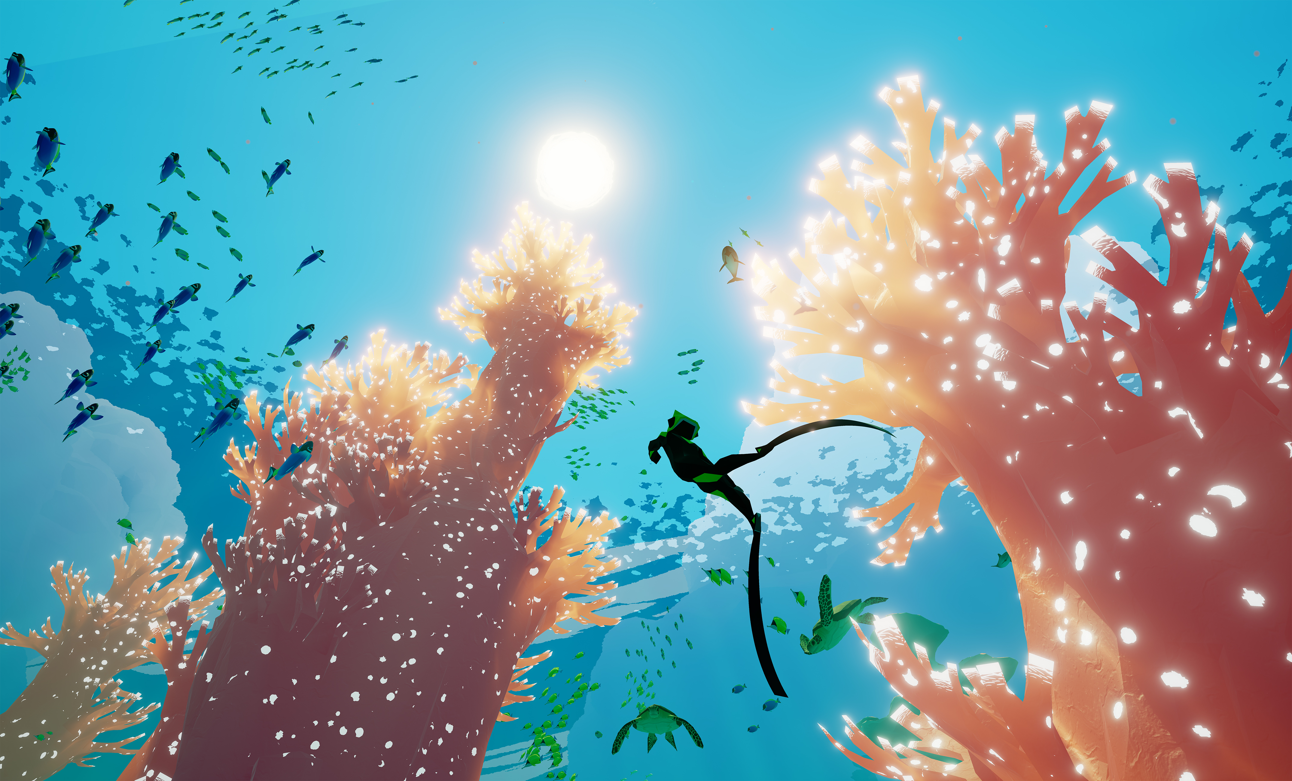 Coral.jpg