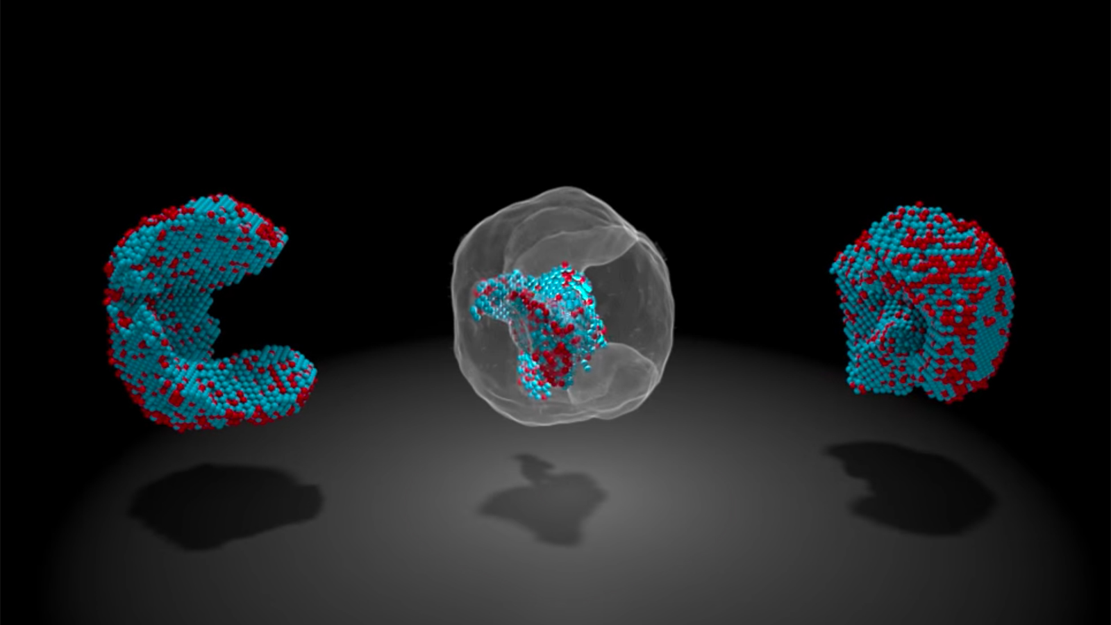 Science mapping. Inside the Atom.