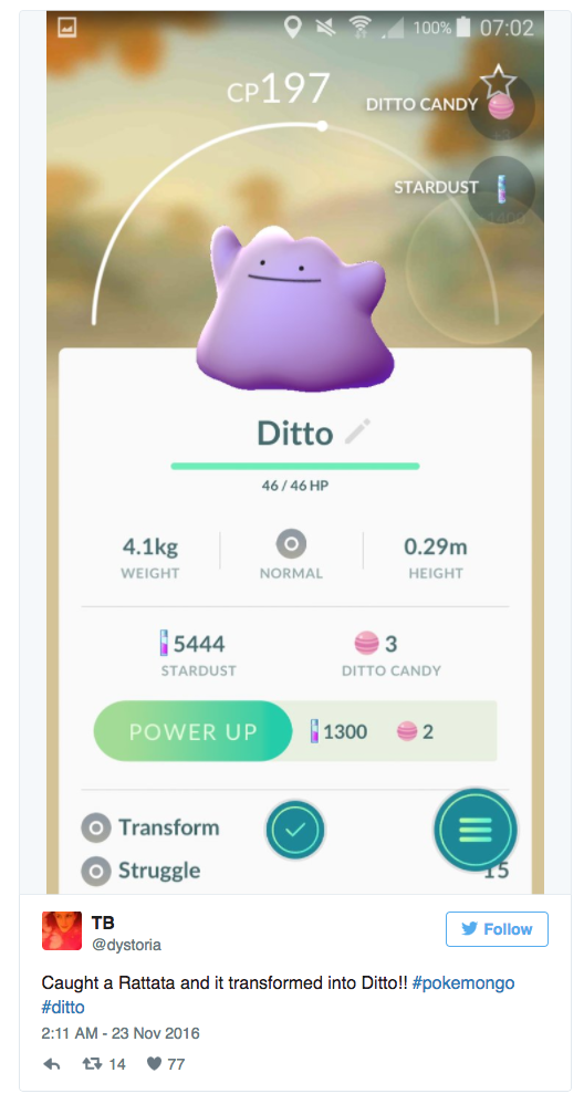 where to find ditto in pokemon go