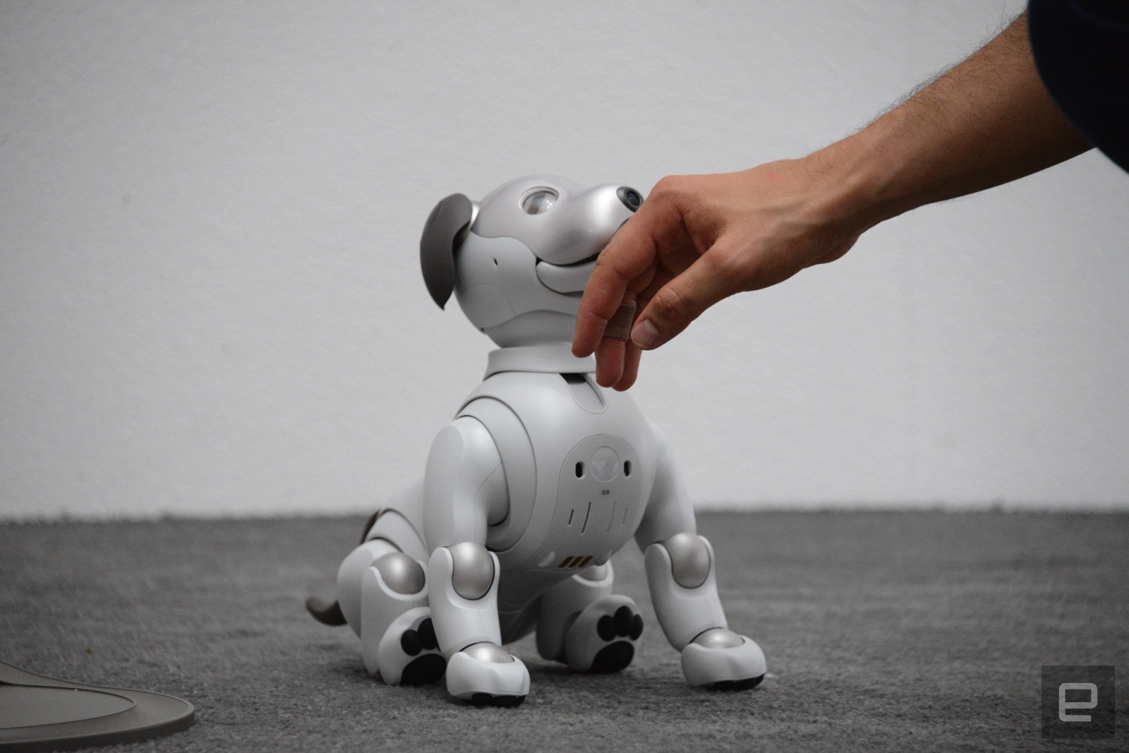 Sony Aibo first impressions: old robot dog, new tricks