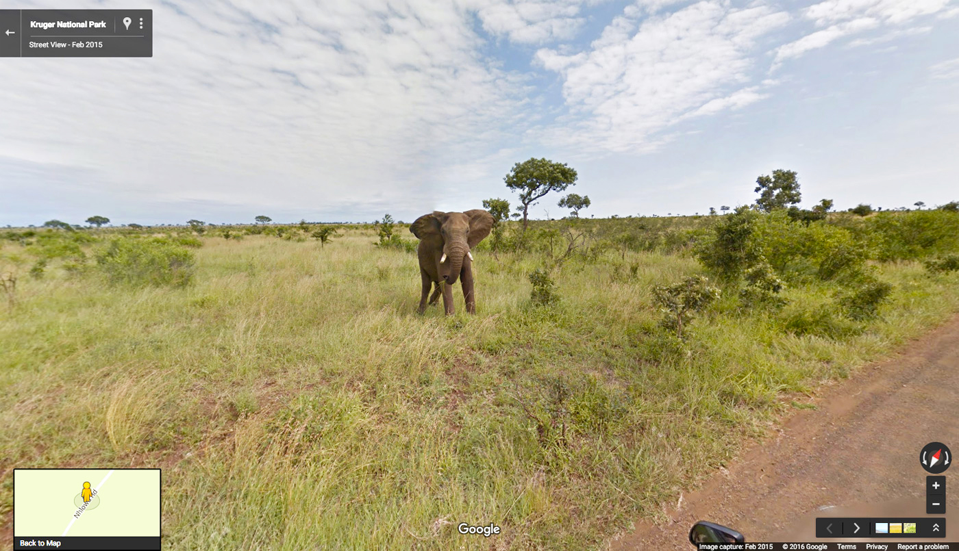 maps south africa street view Google Street View Takes You On A South African Safari Engadget maps south africa street view