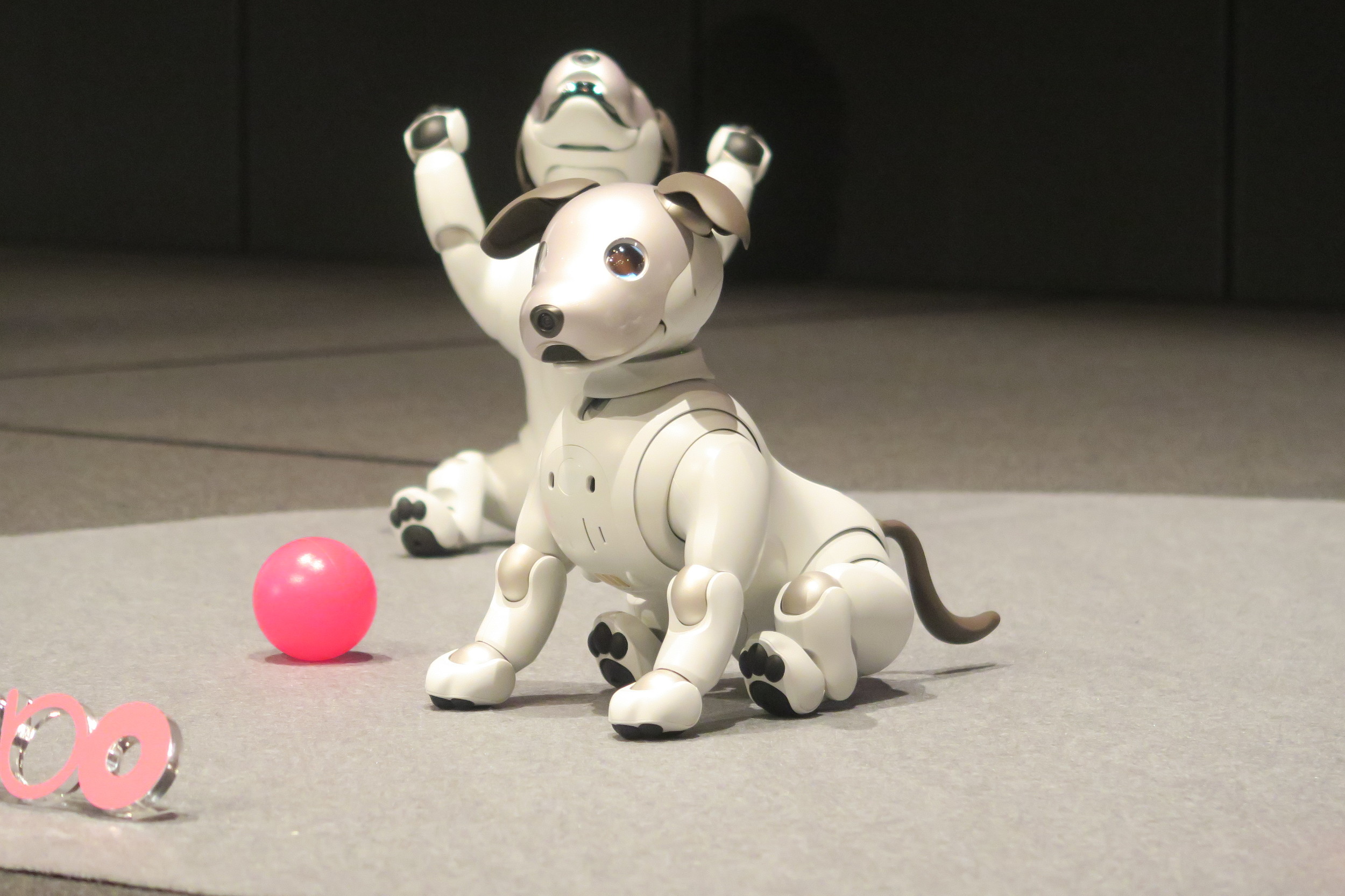 ソニーの犬型ロボット「aibo」と触れ合える。渋谷モディで1月11日から - Engadget 日本版