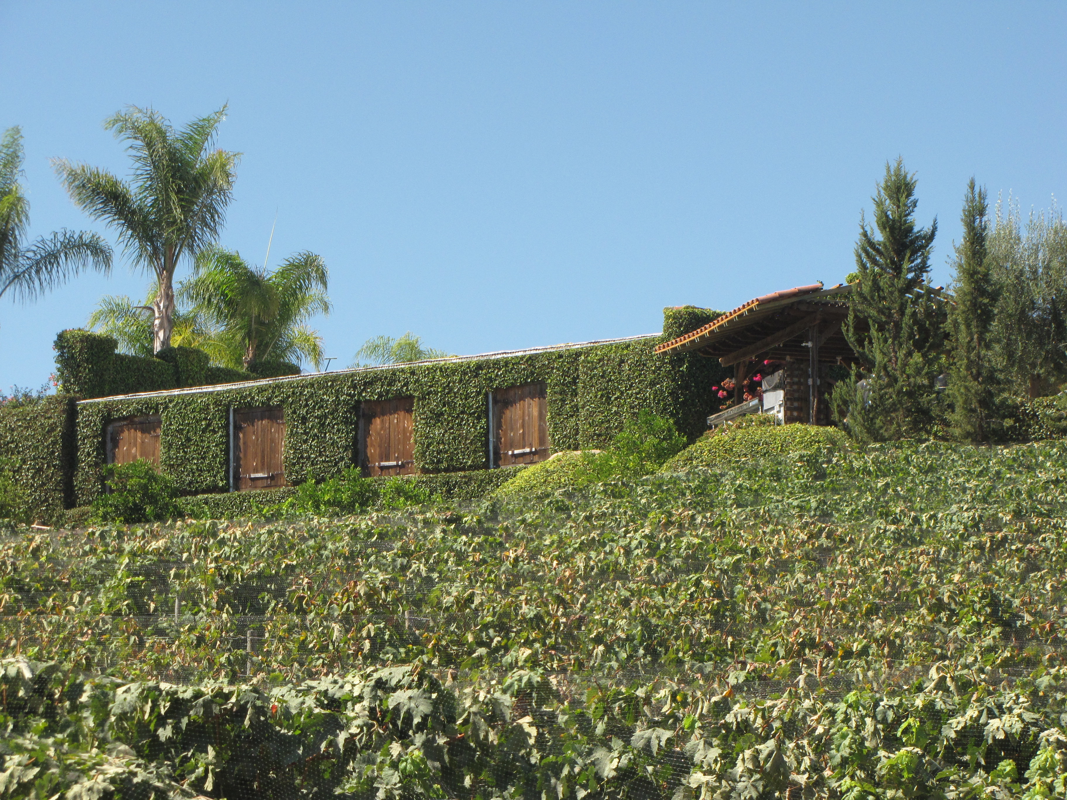 7 lugares para tu primera visita al Valle de