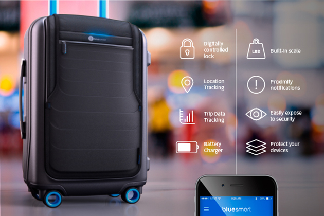 bluesmart bag