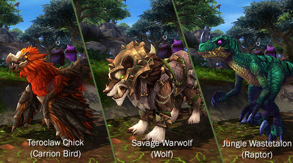 Guide to hunter pets in Warlords of Draenor