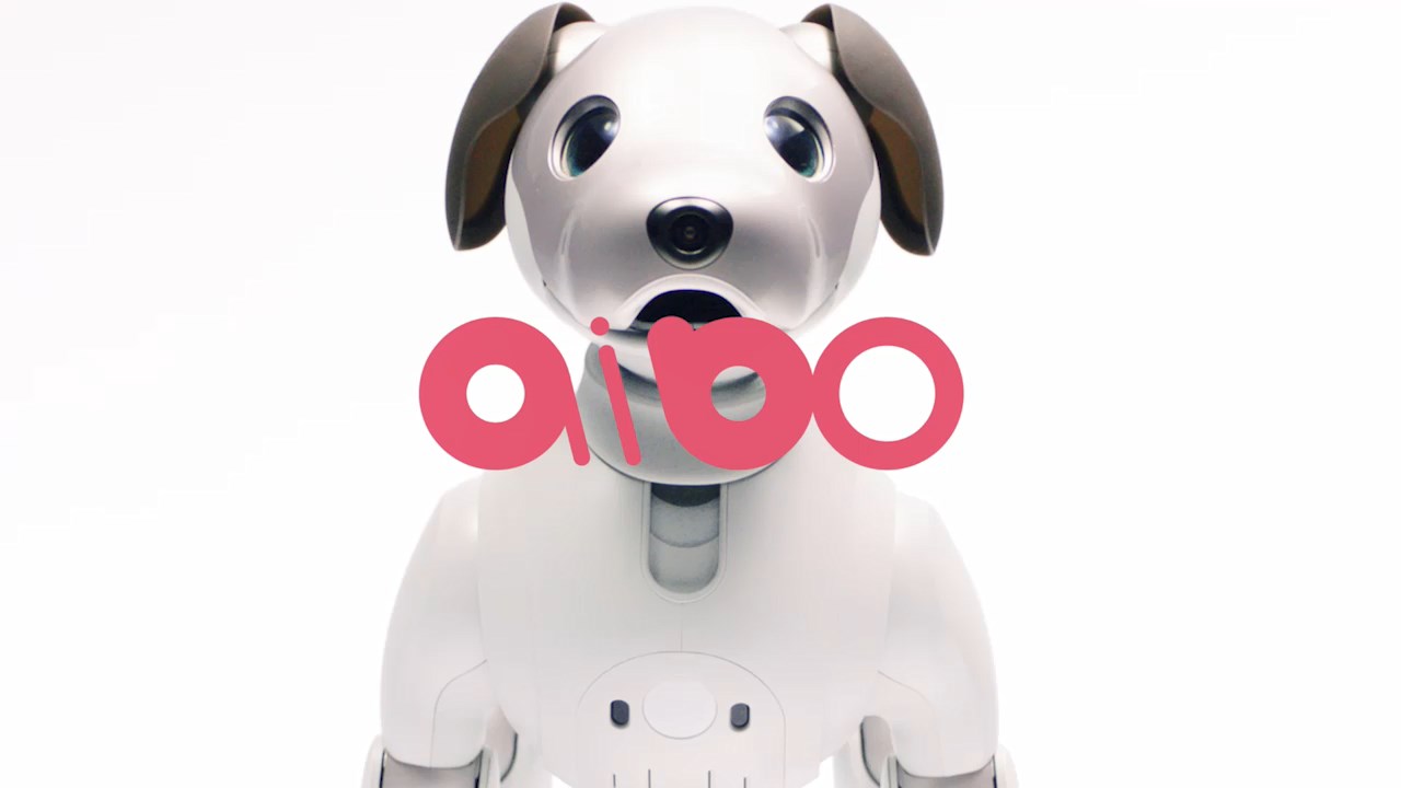 sony aibo robot dog for sale