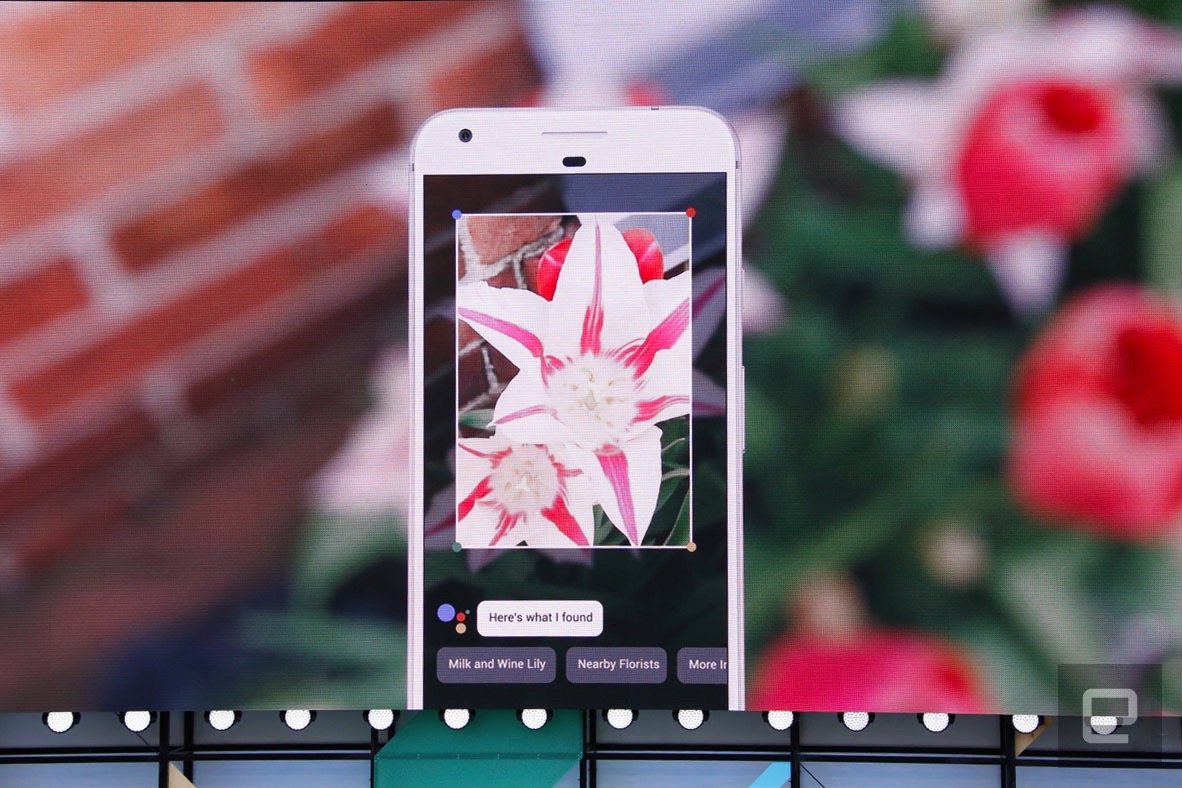 【分享】「Google Lens」将 AI 学习带到个人助理和相册上