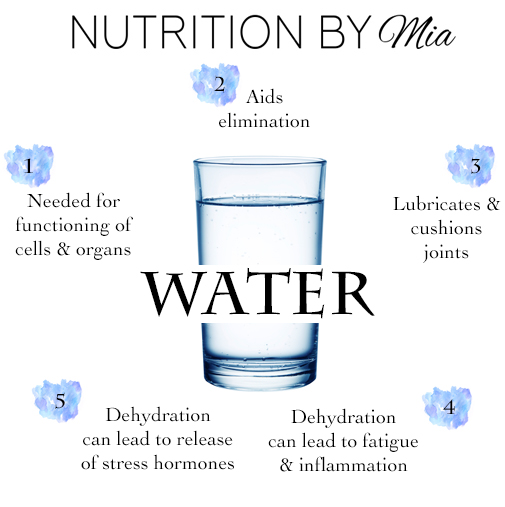 Water Is A Vital Nutrient Needed For