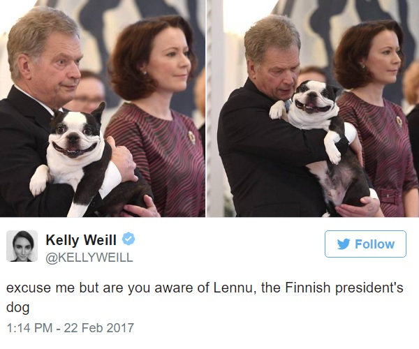 フィンランド大統領のペット犬の笑顔がとってもキュート Aol ニュース