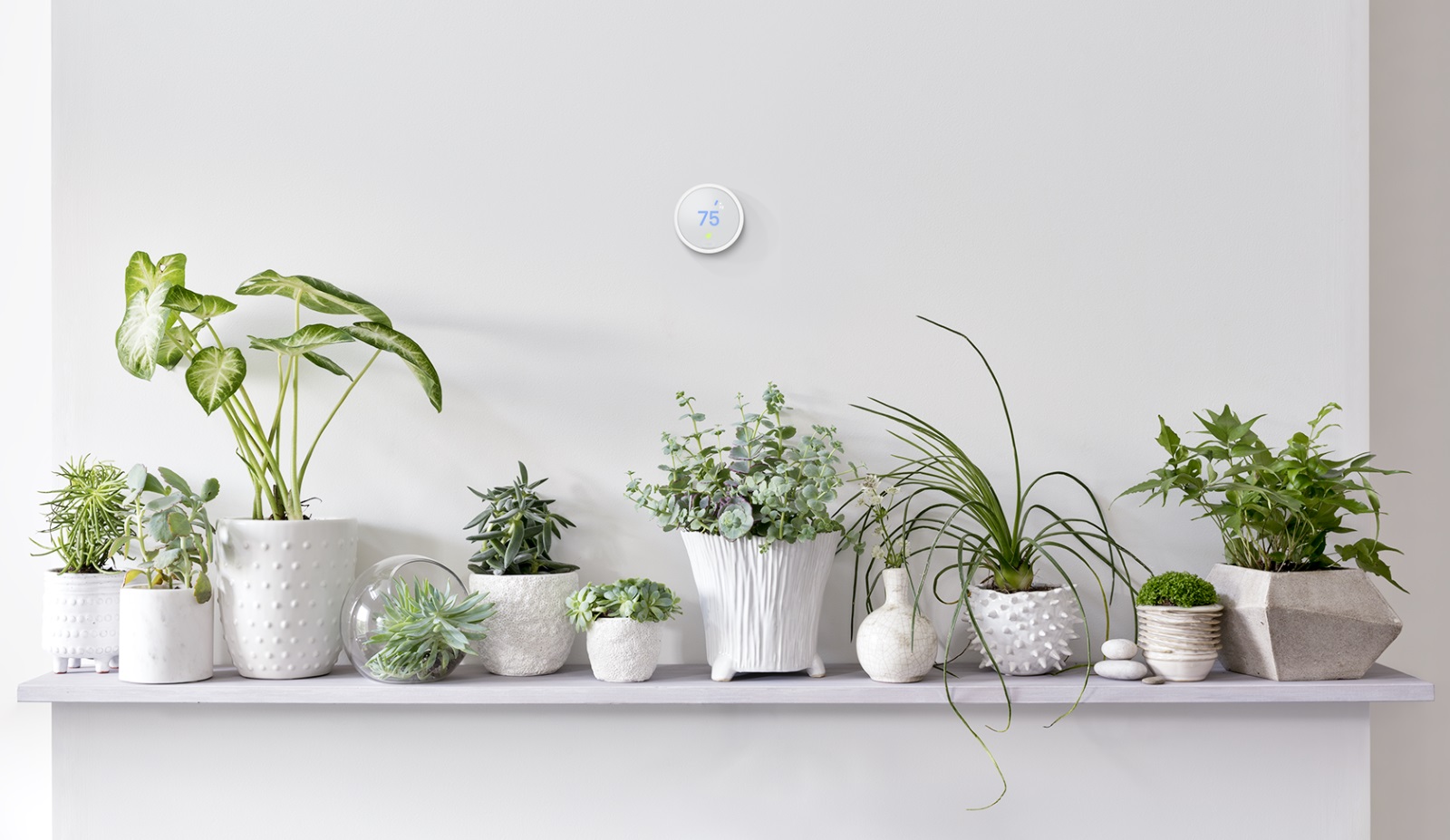 Nest's $169 smart thermostat is all about simplicity