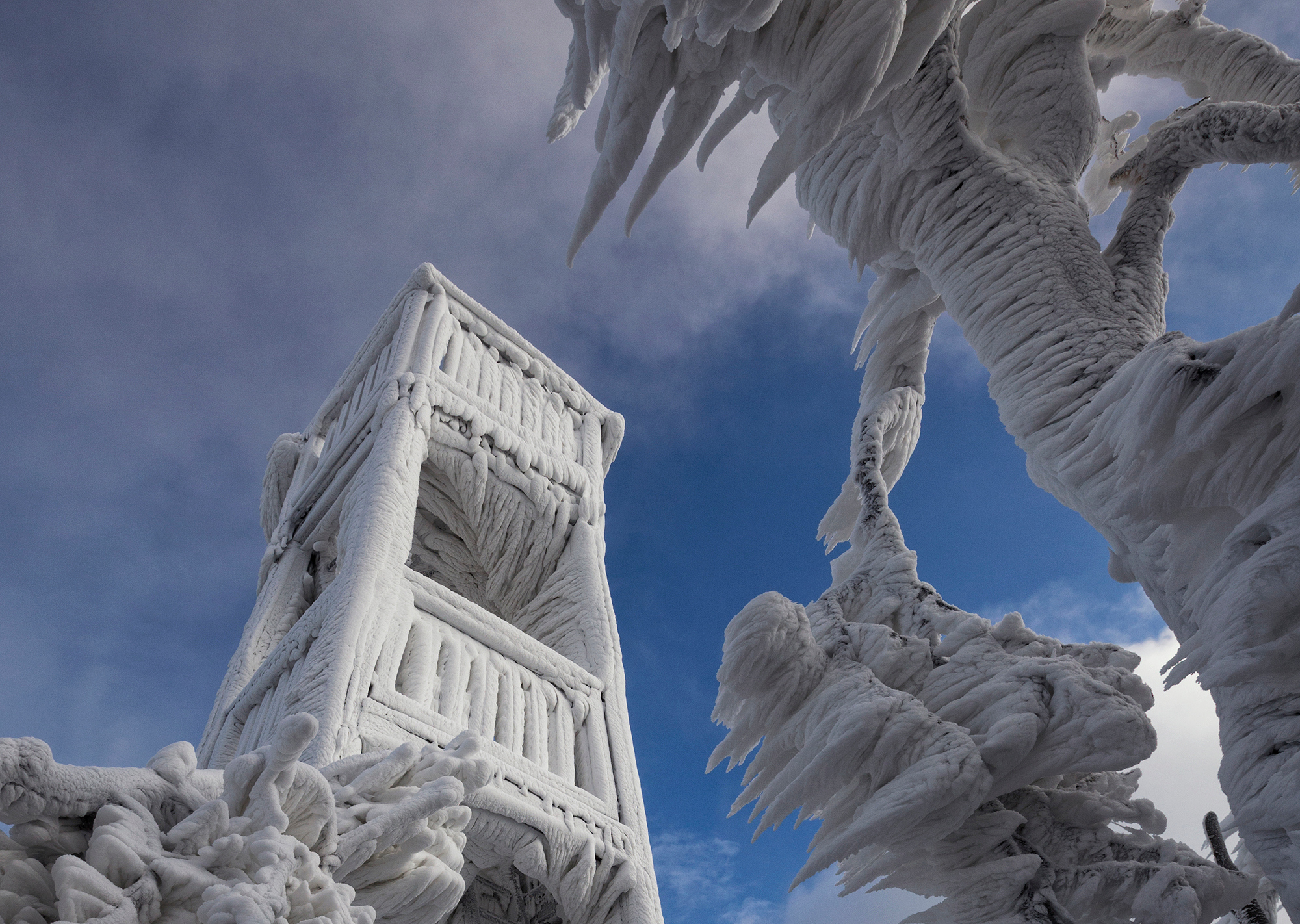 beautiful-ice-formations-created-by-freezing-fog-photos-aol