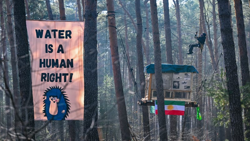 Activists build treehouses to protest Tesla's plans to expand its plant near Berlin