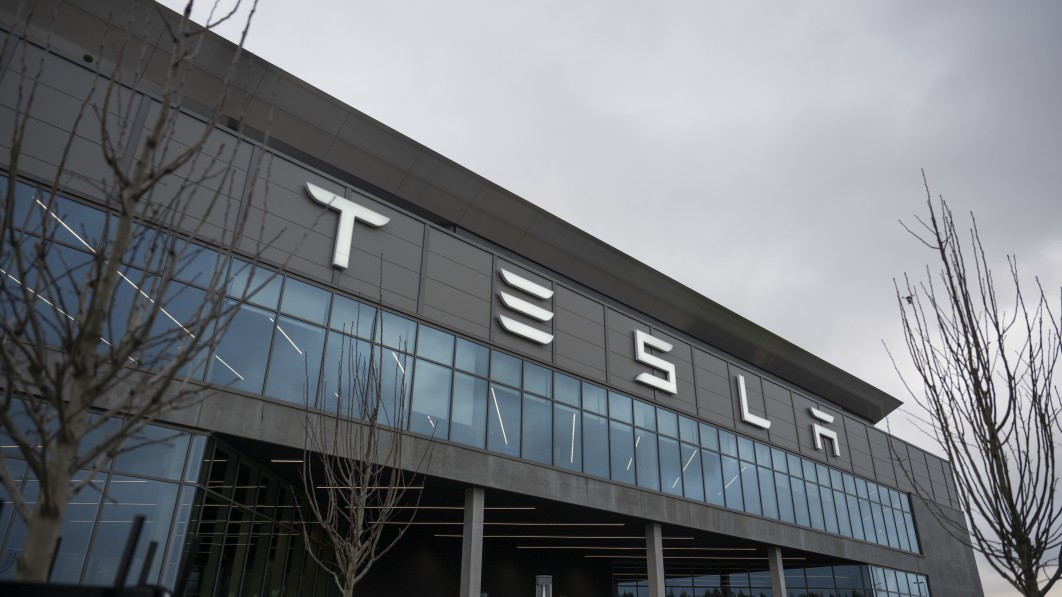 Tesla stock's down 30% in a month, but one fund manager thinks (hopes ...