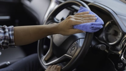 The 10 Best Car Interior Cleaners in 2024 (Including Options for Leather,  Plastic, and Glass)