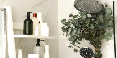 5 reasons to start hanging eucalyptus in your shower