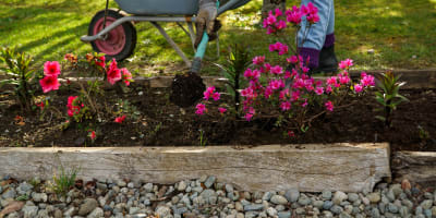 15 Amazon finds under $35 to get your garden ready for spring