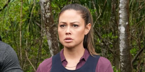 Vanessa Lachey reacts to 'NCIS: Hawai'i' cancellation as fans express outrage over decision