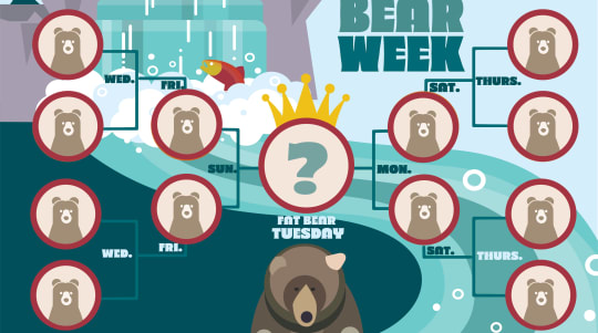 Big, bodacious and breathtaking: Bears get shine	