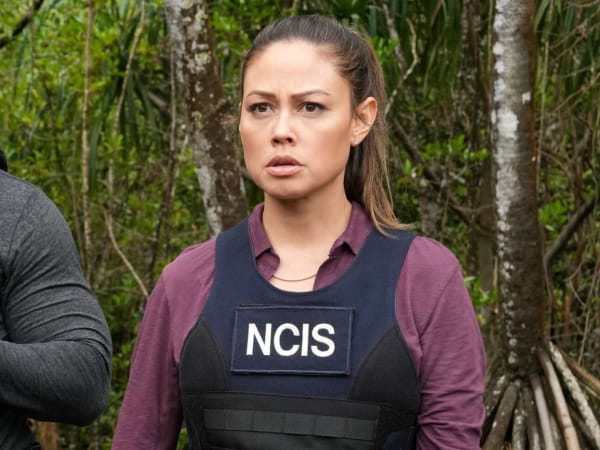 Vanessa Lachey reacts to 'NCIS: Hawai'i' cancellation as fans express outrage over decision