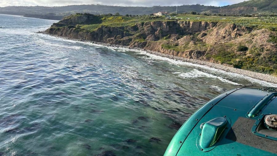 Pilot and dog swim to shore in California after small plane crashes off coast