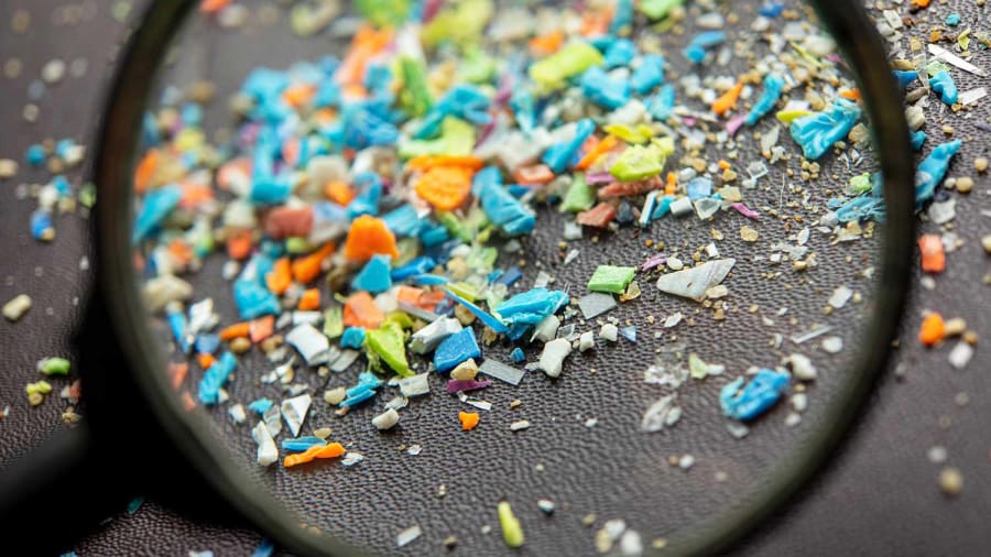 Microplastics found in brain after only 4 weeks of exposure