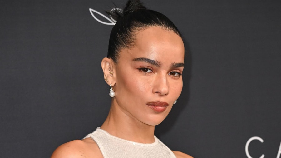 Zoë Kravitz Embraces the No-Pants Trend with a Sexy Sheer Outfit Made Out of Hosiery