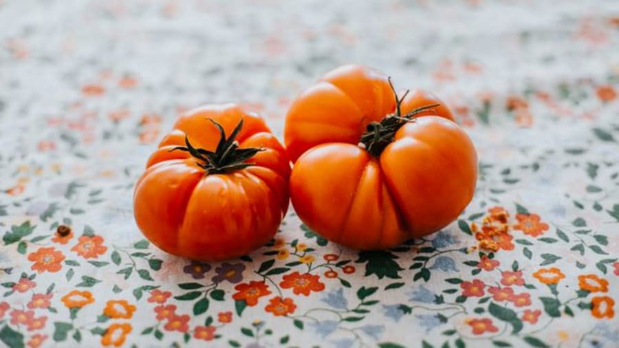 The dos and don'ts of potting beefsteak tomatoes, according to a garden expert