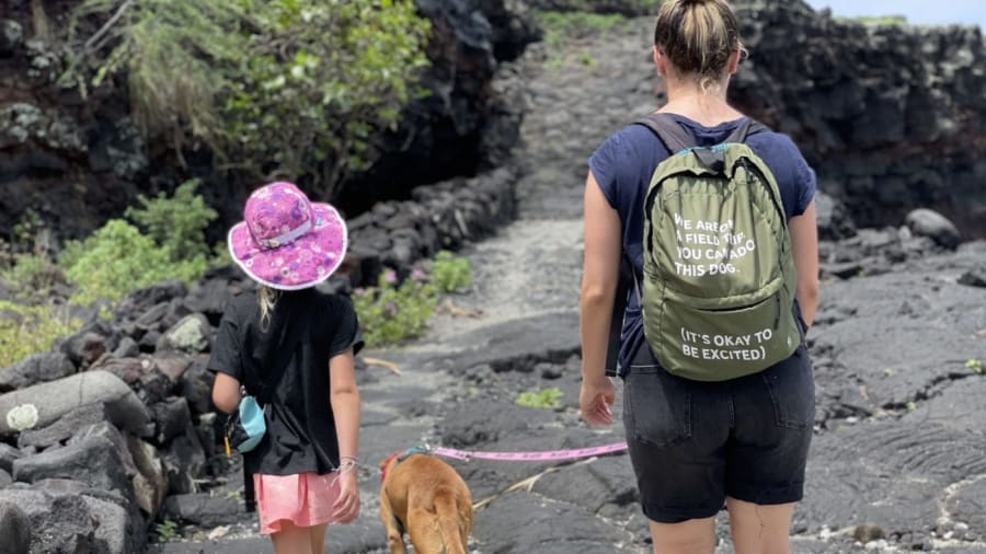I took a dog on a field trip in Hawaii and it was the best part of my vacation