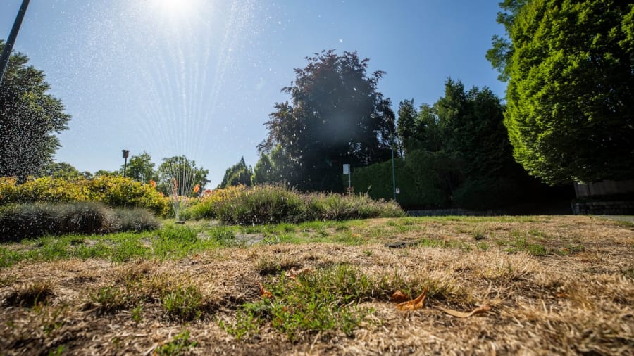 Lawn watering restrictions for Metro Vancouver set to run until mid-October
