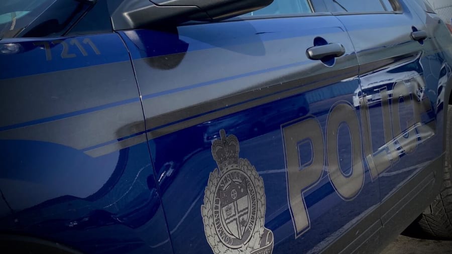 Police seek witnesses to fatal collision involving pedestrian