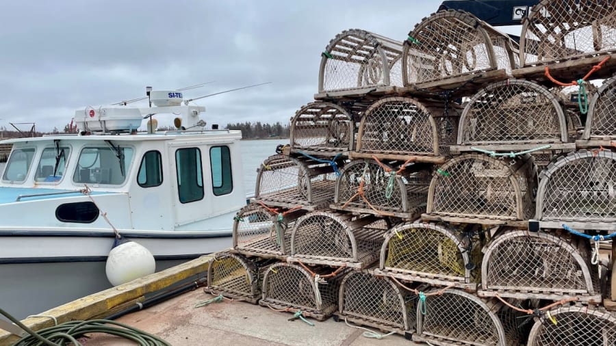 P.E.I.'s North Shore lobster season delayed once more