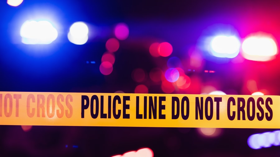 Man, 3 children found dead inside car at Georgia park in possible murder-suicide: Police
