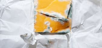 This shockingly easy trick keeps cheese fresh 3x longer
