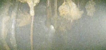 Images taken deep inside melted Fukushima reactor show damage, but leave many questions unanswered