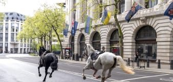 London police contain 2 horses loose in the city. Several more believed to be on the run too