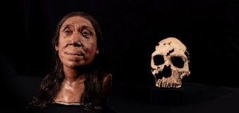Scientists reveal the face of a Neanderthal who lived 75,000 years ago
